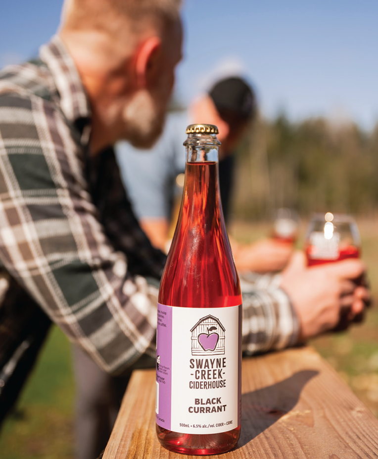 two men standing outdoors, drinking Swayne Creek cider and enjoying the scenic view.