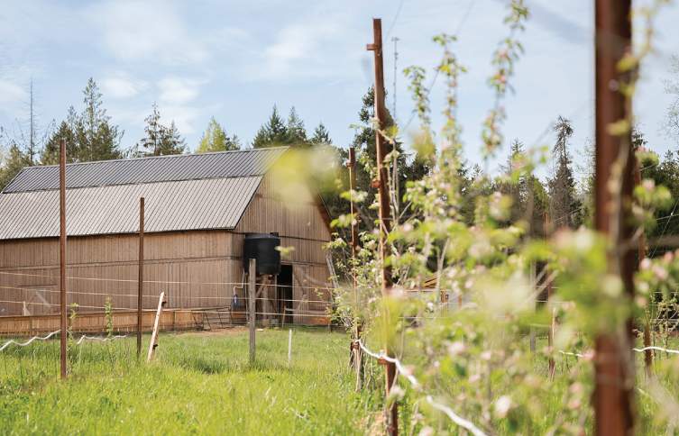 Image of the Swayne Creek Cider House barn and orchard 